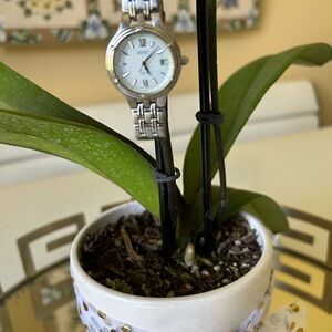 Seiko Silver Women's Watch with Date Window